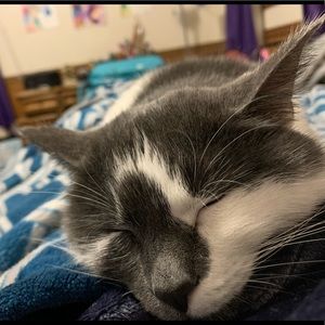 Meet your Posher, Shyla